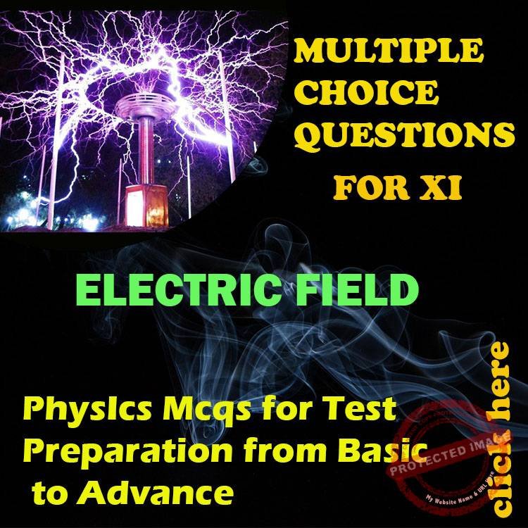 ELECTRIC FIELD copy